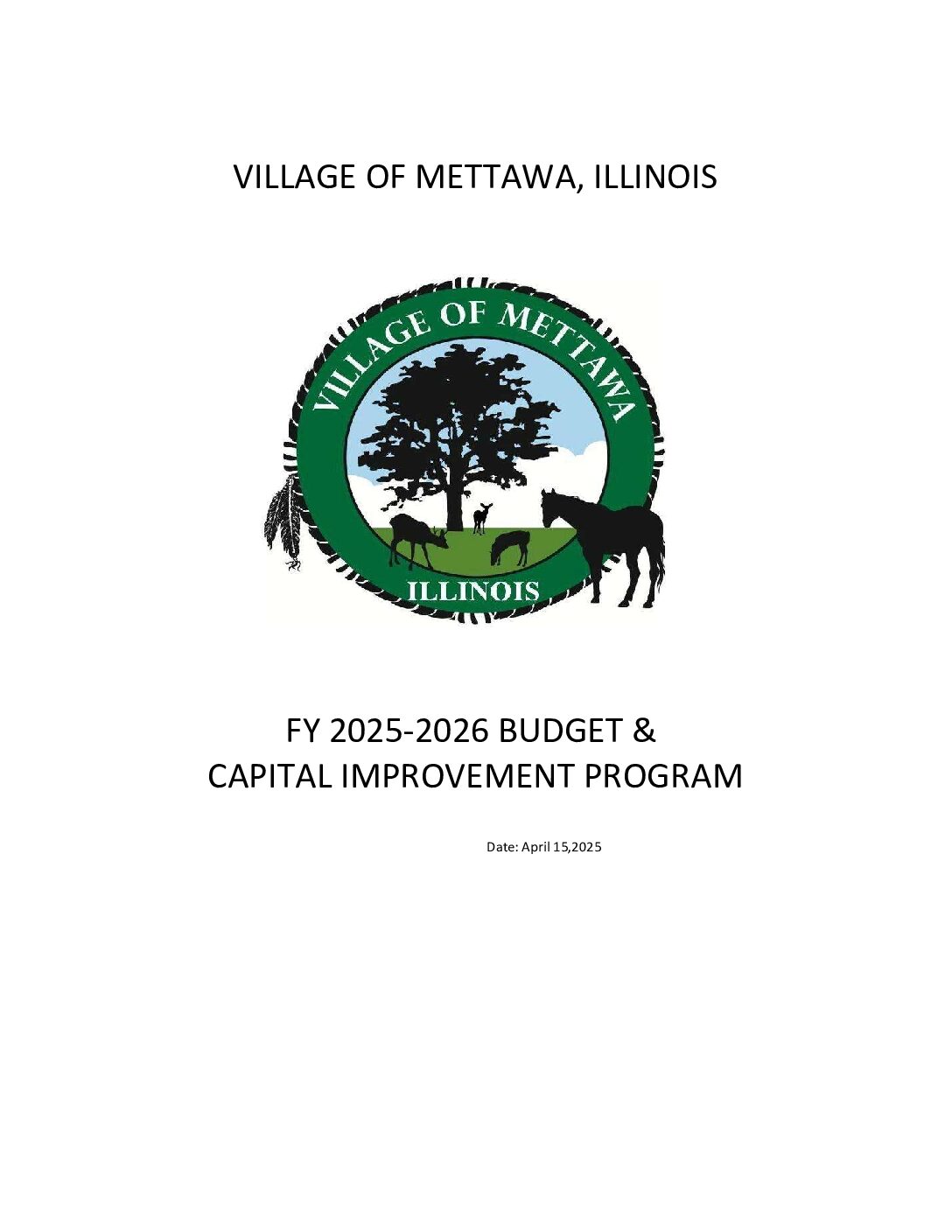 Read more about the article Budget for Fiscal Year 2025